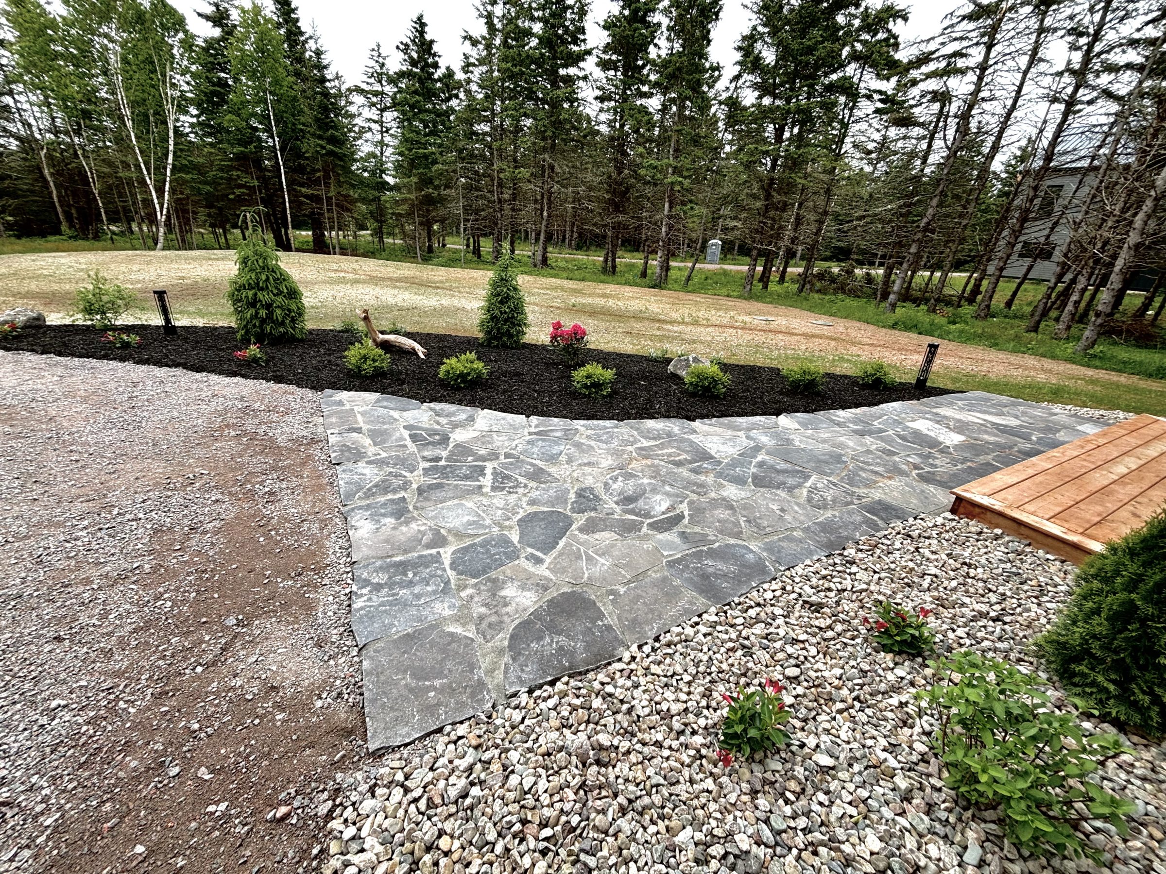 Stone path with plants and gravel in garden.