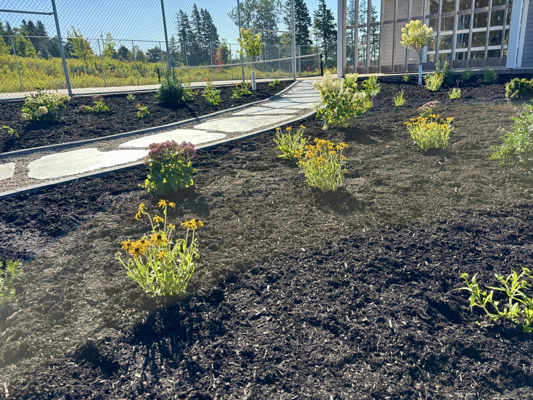 Newly landscaped garden with flowers and pathway.