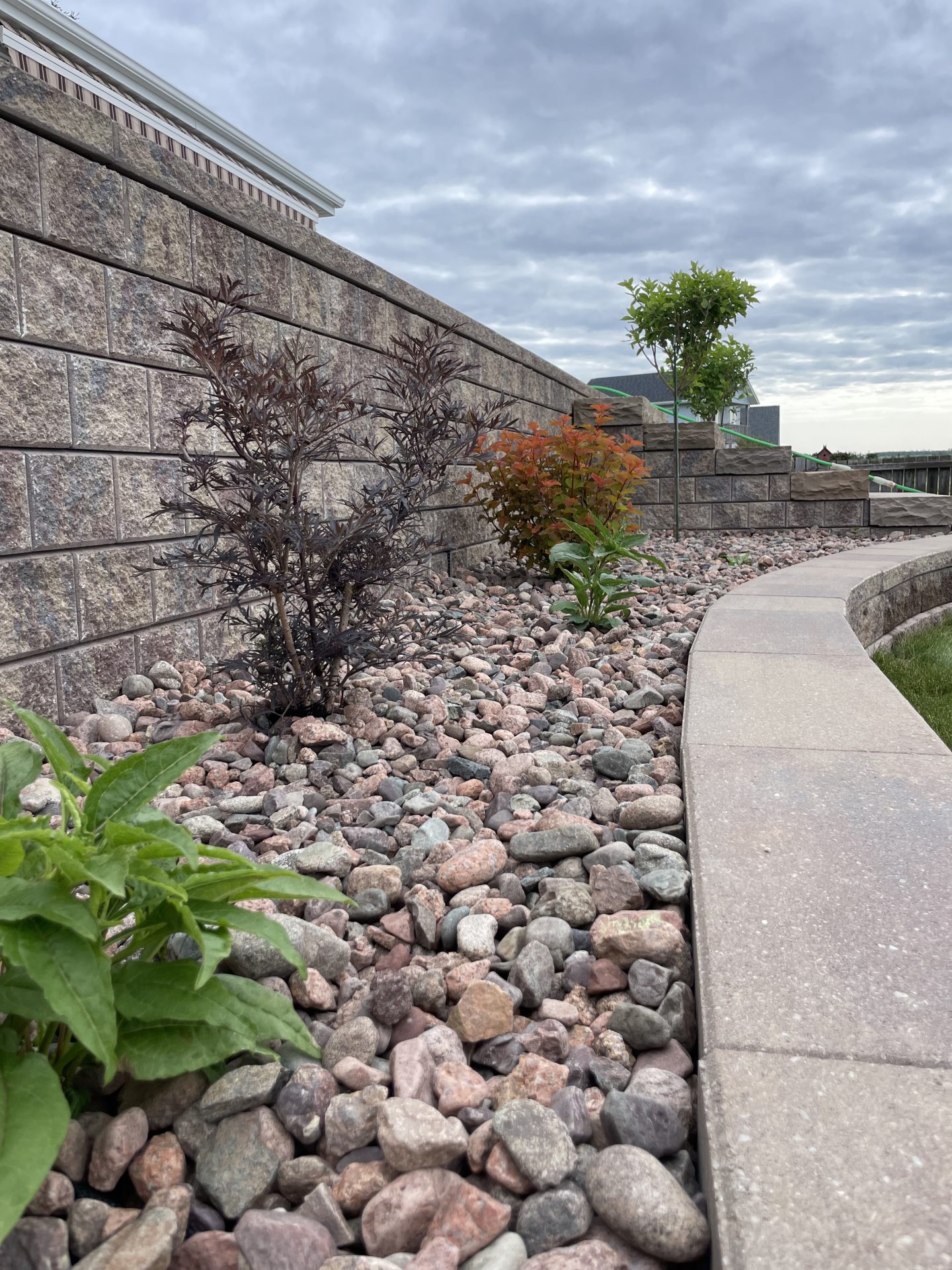 Stone garden path with plants and wall.