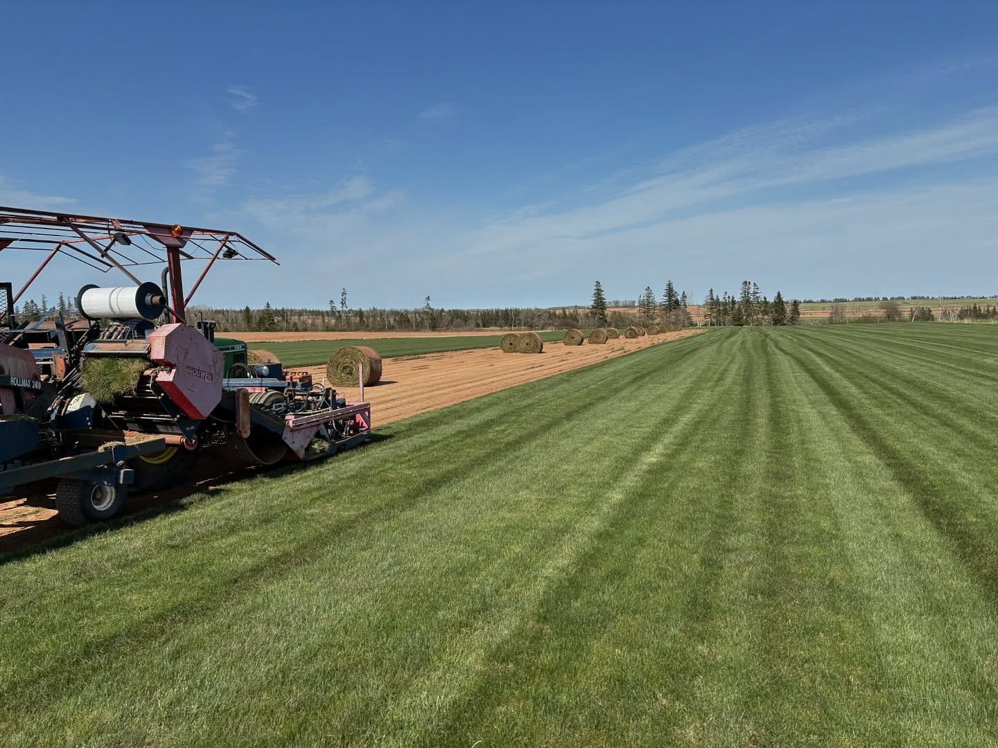 Farm machinery harvesting green grass field