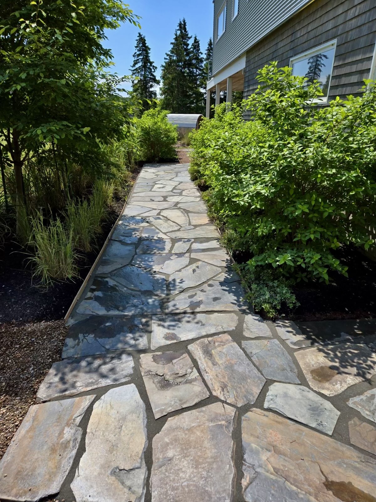 Stone pathway through lush garden beside house