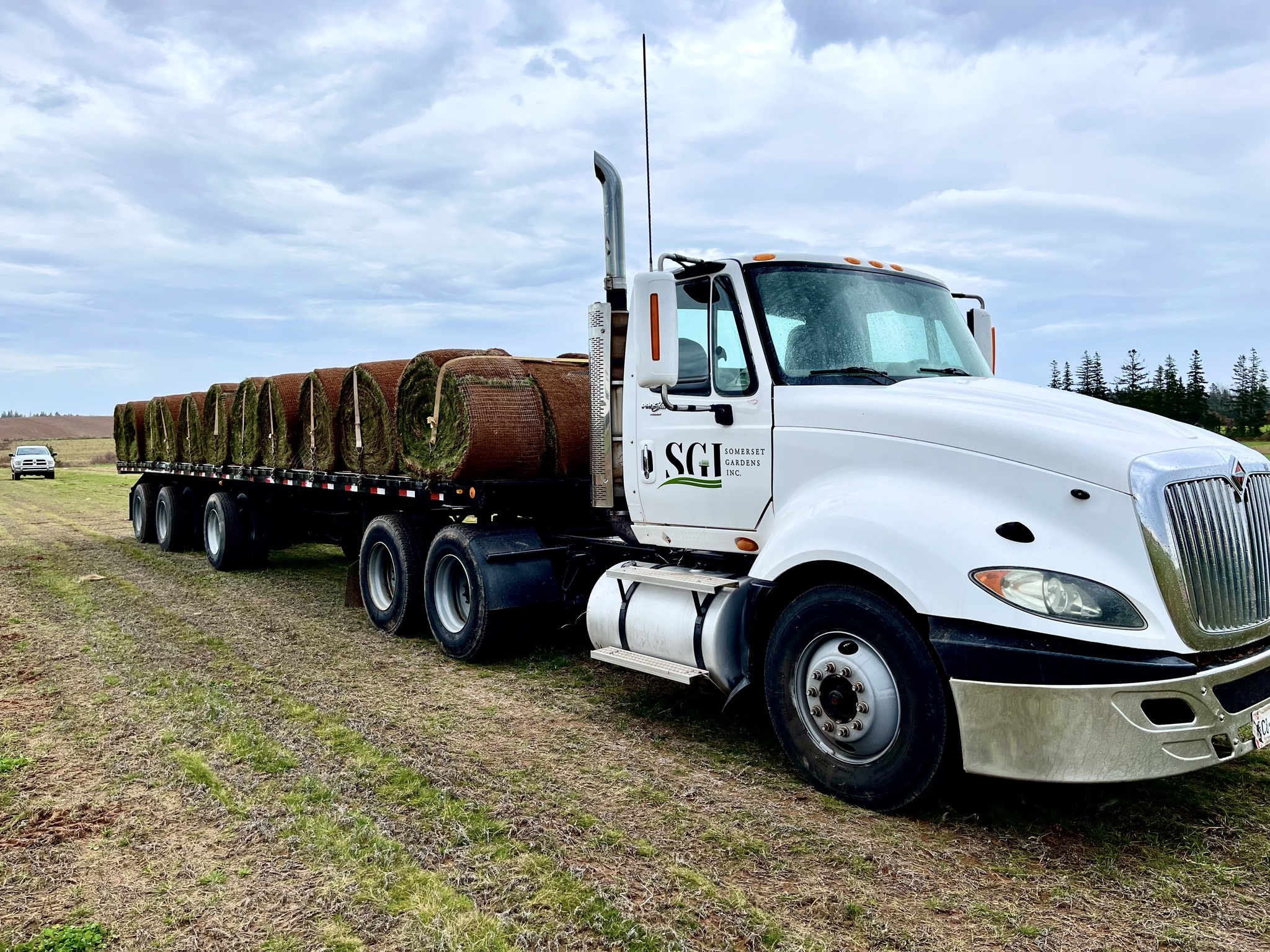 Truck transporting large rolls of grass on field