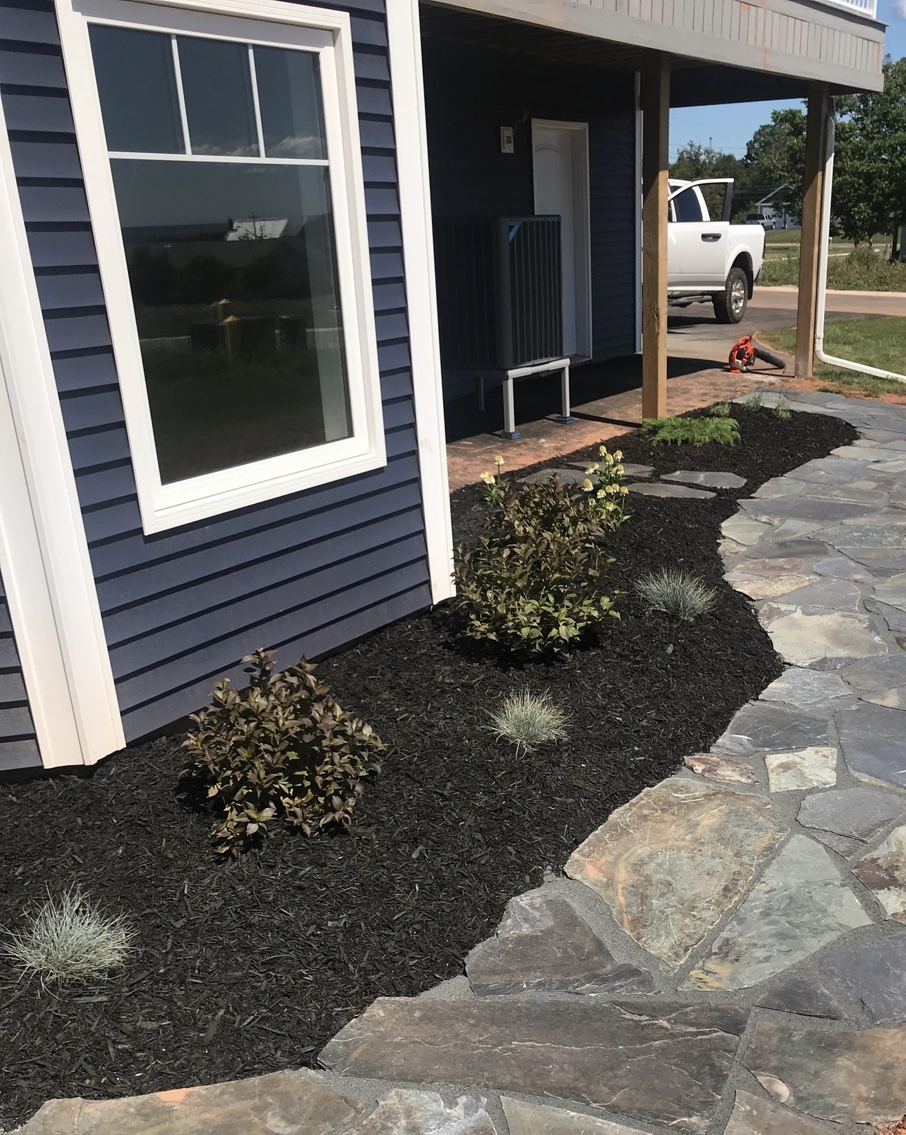 Landscaped garden beside modern blue house