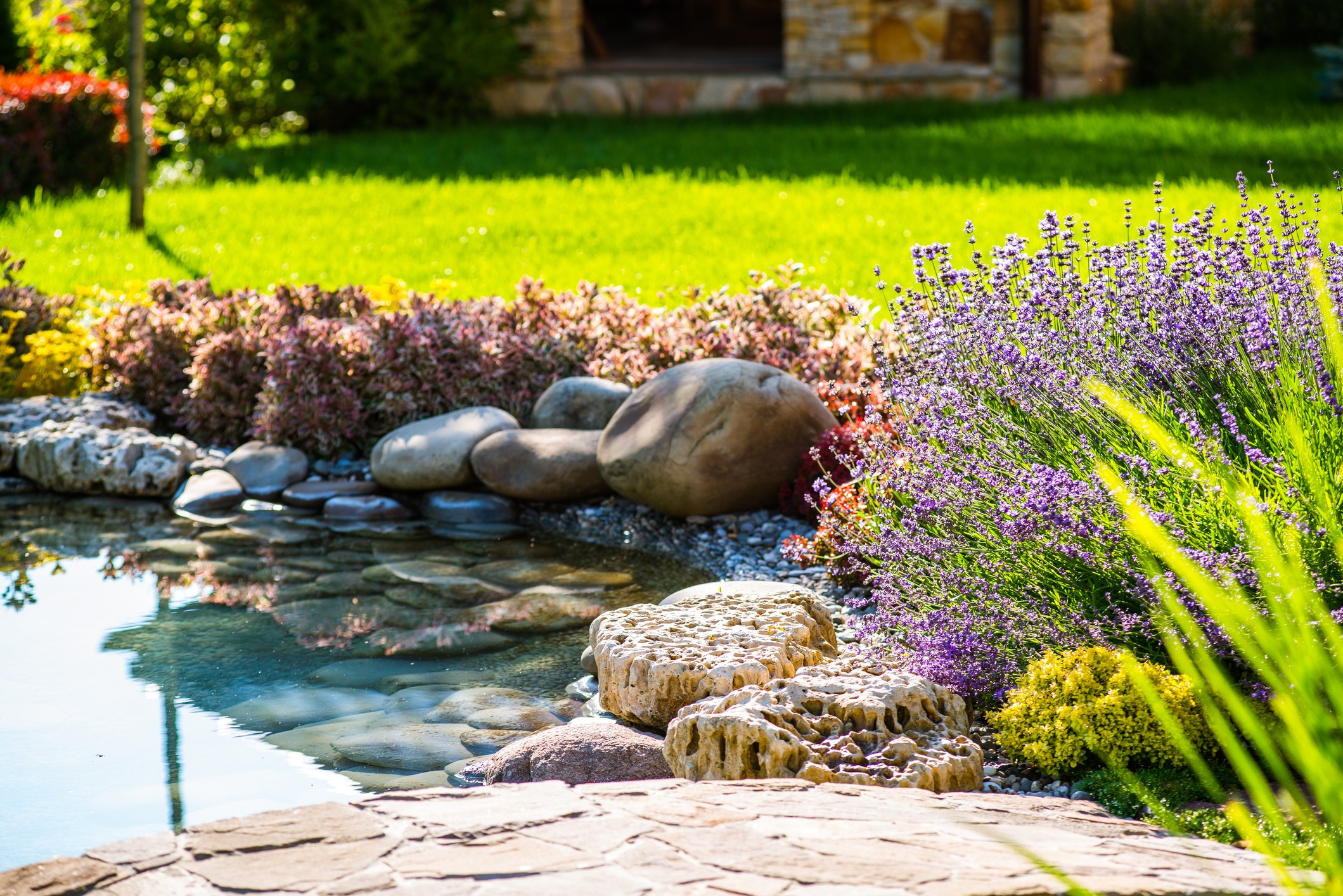 Colorful garden with rocks and blooming flowers